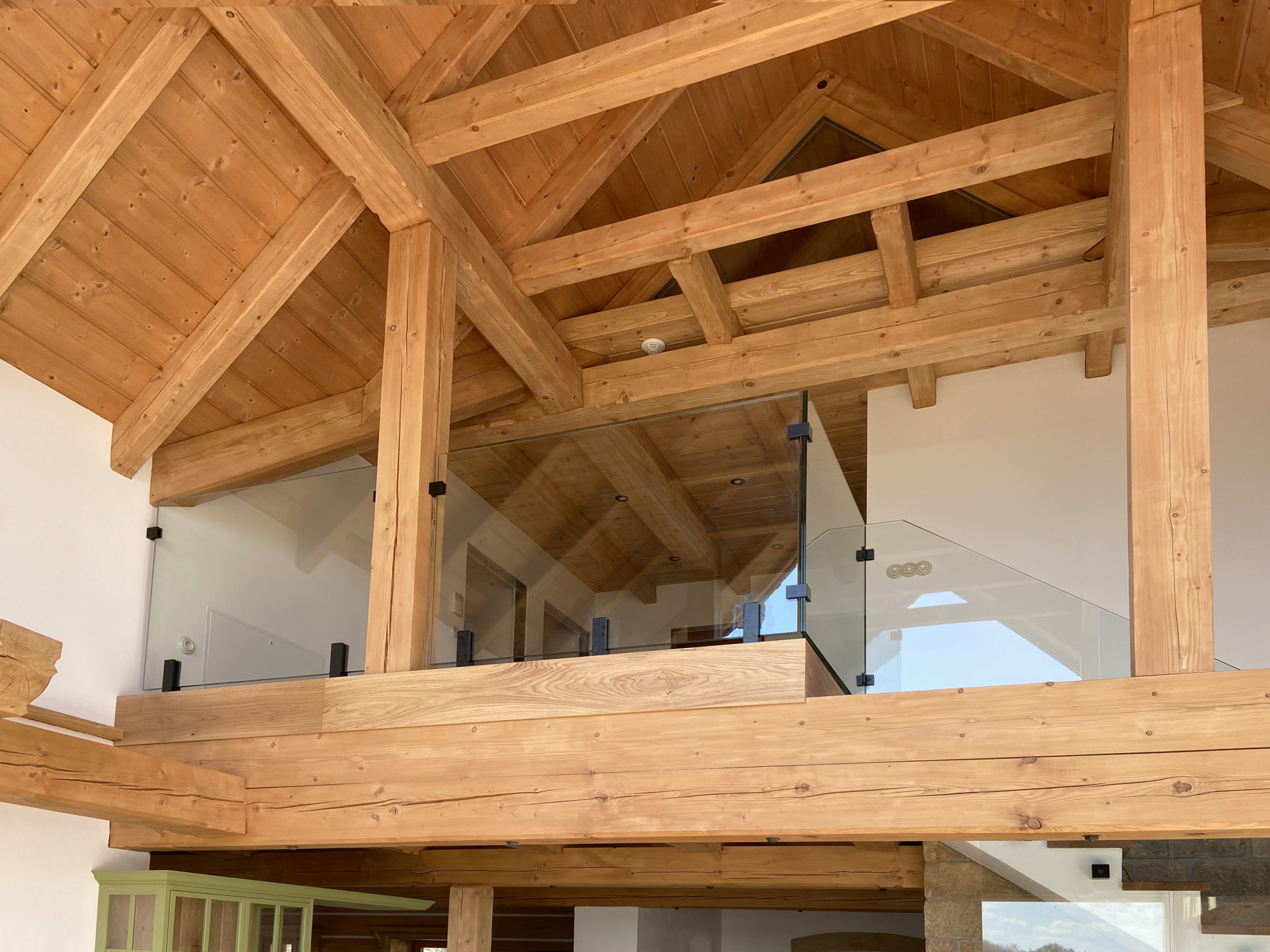 Skleněné zábradlí s černým kováním 2